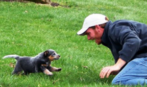 How To Get a Dog To Come When You Call