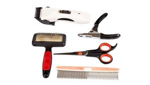Six Essential Pet Grooming Products