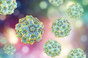 Home Remedy to Kill Yard Parvo