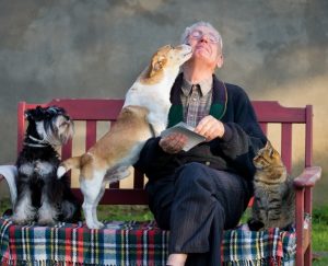 Pet Care Guide For Newbie Pet Parents