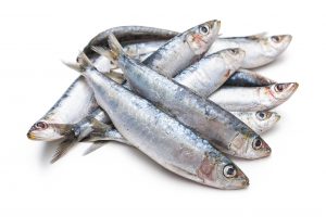 Sardines for Pet Health