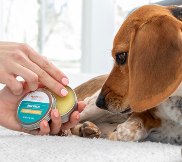 Our Pets and Essential Oils